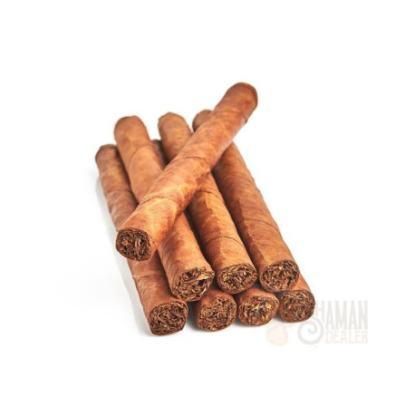 Mapacho Nicotiana Rustica cigar, Rio Mayo 25 Cigars from Tarapoto - Peru AMAZONIAN OFFERINGS