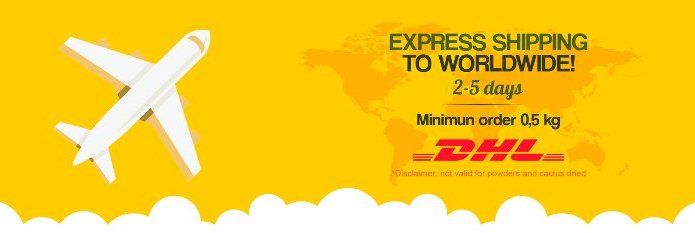 dhl express