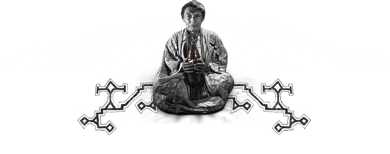 Welcome to shamandealer.com