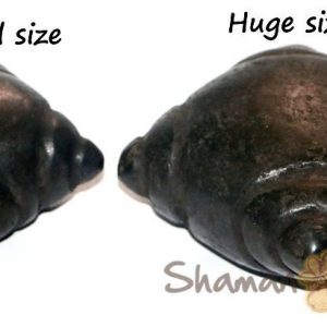 Huge Chumpi Meteorite Stones Shamans set ( mestana, watana, rattles ). ANDEAN REIKI