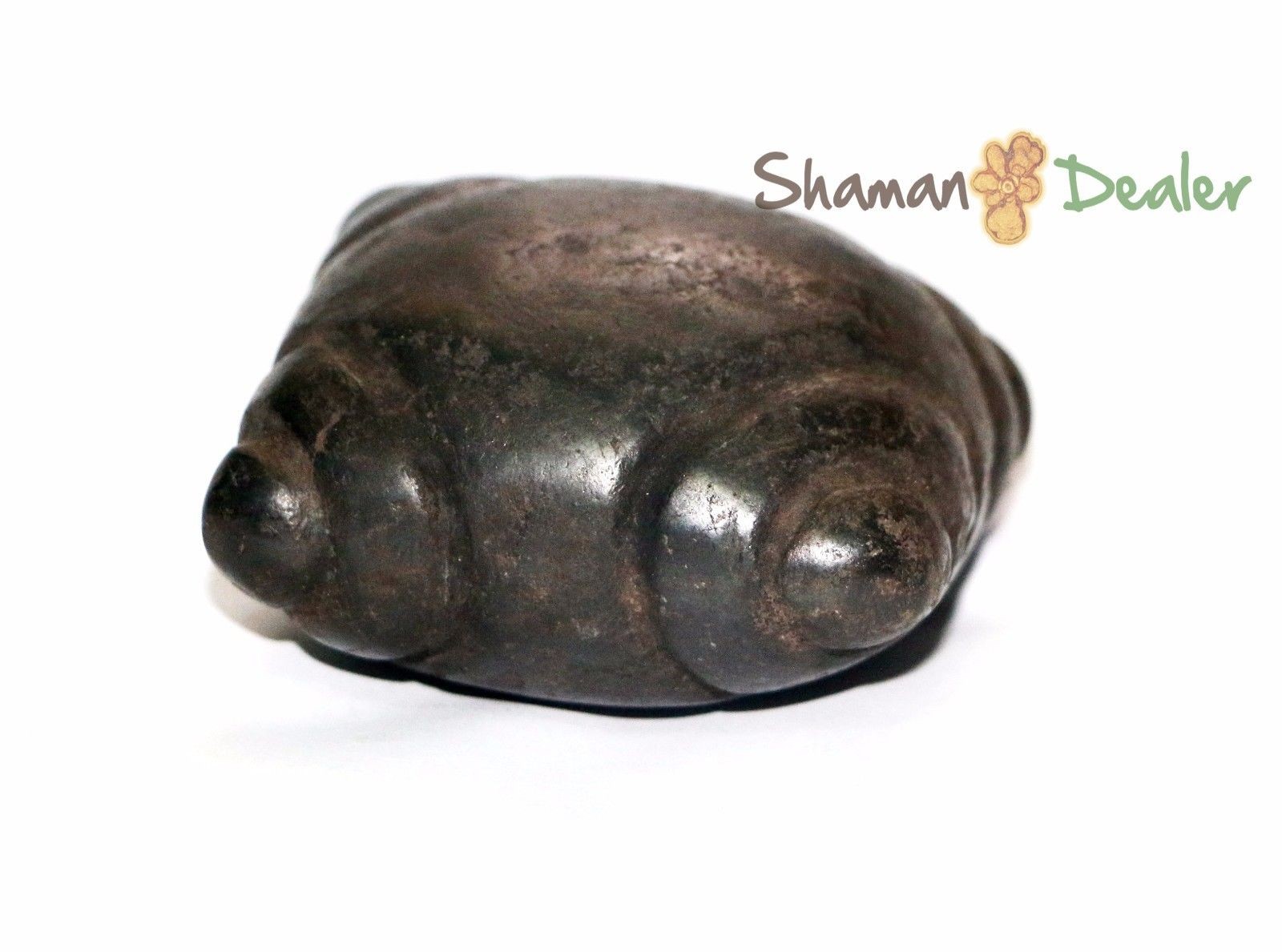 Huge Chumpi Meteorite Stones Shamans set ( mestana, watana, rattles ). ANDEAN REIKI