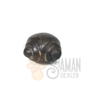 Meteorite Jiwayas or jihuaya chumpi 7 Stones ANDEAN REIKI