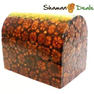 Ayahuasca wooden coffer box handmade AYAHUASCA ART