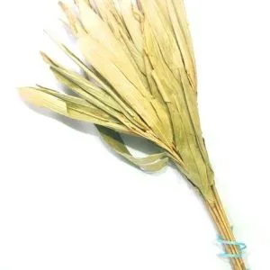 Amazon Chakapa or shakapa rattles, Ayahuasca Shaman 35 - 40 Cm or 15.7 Inches AMAZONIAN OFFERINGS