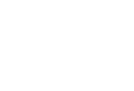 Shaman Dealer